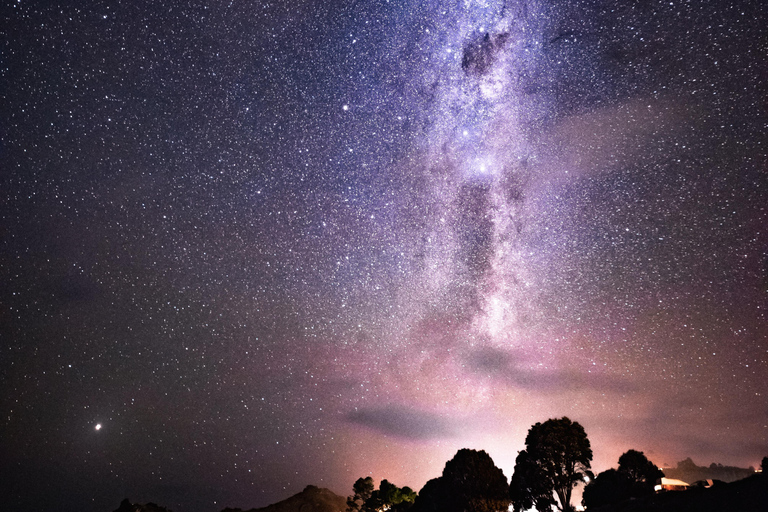 Tawharanui: Kiwi Spotting & Stargazing Tour c/ Estancia OpcionalRecorrido Estándar