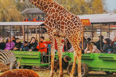 Santiago : visite du parc safari