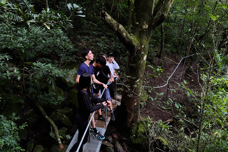 Waterfalls, Hanging Bridge, and Sloths in Fortuna de Bagaces, Guanacaste. Explore Miravalles: Waterfalls, Suspension Bridge, and Sloths