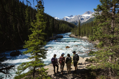 Icefield Glacier & Skywalk Full-Day Tour