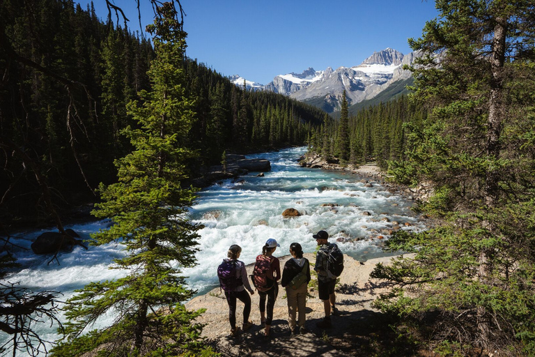 Icefield Glacier & Skywalk Full-Day Tour