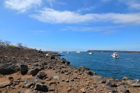 3 unglaubliche Ganztagestouren auf dem Galapagos-Archipel