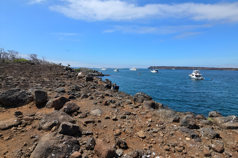 3 increíbles tours de día completo en el Archipiélago de las Galápagos