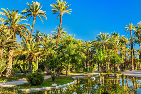Alicante et Elche : excursion d&#039;une journée avec visite du château de Santa Bárbara