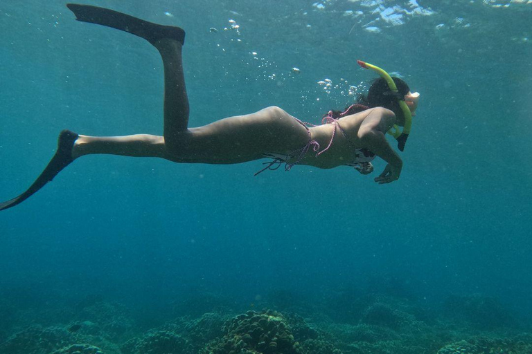 Gili Trawangan: Gili Islands Snorkeling Tour with Turtles Gili Trawangan: Snorkeling Tour with Turtles