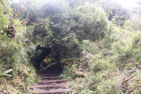 Recorrido y caminata al Volcán Barva Heredia