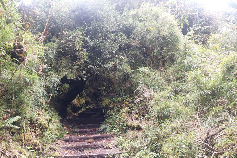 Volcan Barva Heredia Resor och promenader