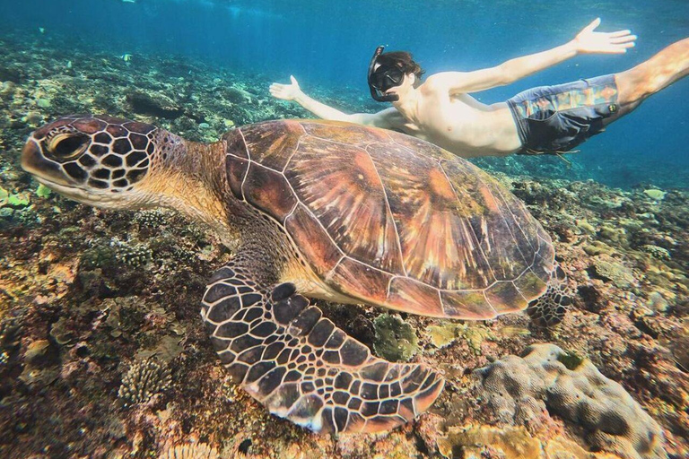 Bali: Nusa Penida Snorkeling and Island Tour with Lunch