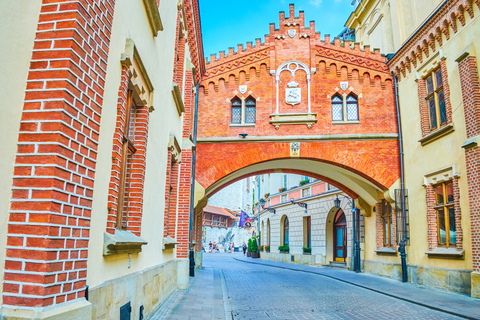 Czartoryski Palace Museum Tickets and Krakow Old Town Tour 3,5-hour: Old Town & Czartoryski Palace Tour