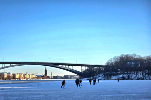 Stockholm: Nordisk skridskoåkning för nybörjare på en frusen sjö