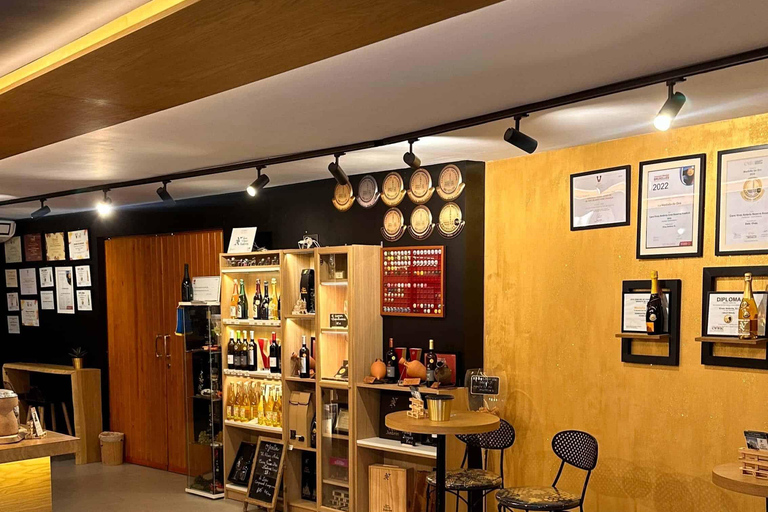 Tarragona: Tour of an underground winery with a tasting of 6 cavas and 6 wines Guided visit in English