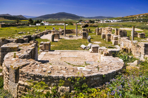 From Tunis: Day Trip to Dougga and Bulla Regia