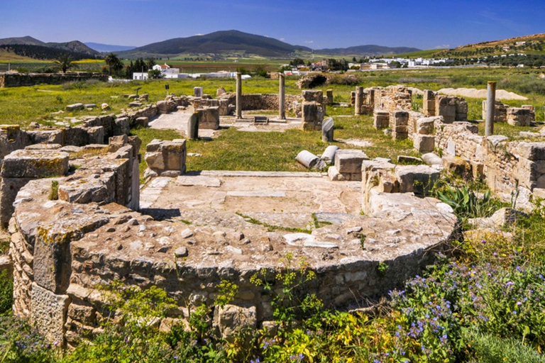 From Tunis: Day Trip to Dougga and Bulla Regia