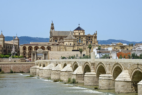 Córdoba - Excursão particular incluindo visita à Fortaleza