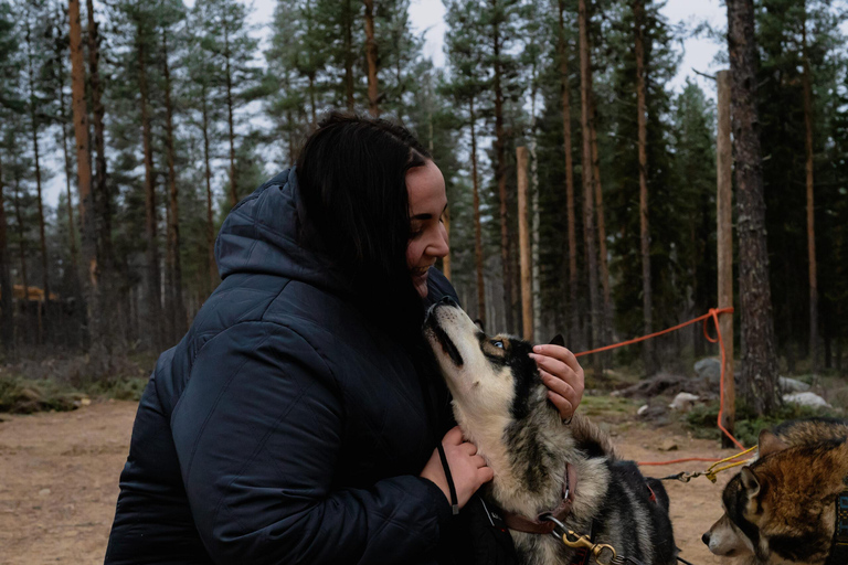 From Rovaniemi: Husky and Reindeer farm with sled ride