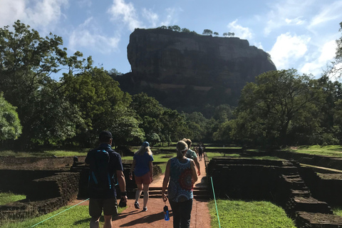 Colombo: Dambulla Cave Temple and Sigiriya Day Trip