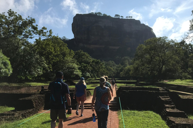 Colombo: Dambulla Cave Temple and Sigiriya Day Trip