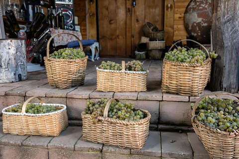 From Tbilisi: Kakheti Wine & Culture Day Tour with Tastings