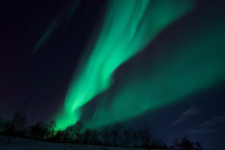 Tromsø: Northern Lights Tour with Free Professional Photos