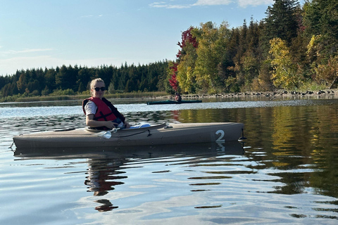 Excursion en kayak sur Island Lake depuis Toronto en RV - MotorhomeExcursion en kayak sur le lac Island au départ de Toronto en VR