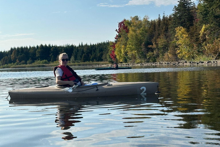 Excursion en kayak sur Island Lake depuis Toronto en RV - MotorhomeExcursion en kayak sur le lac Island au départ de Toronto en VR