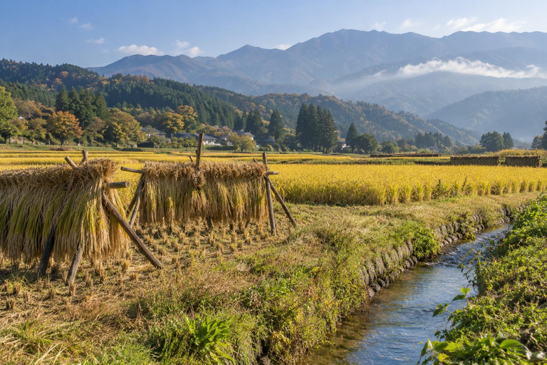From Tokyo: Marukome Miso Factory & Nagano Farm Lunch Day Trip