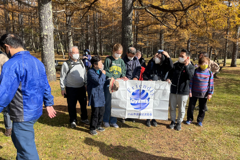 Tokyo: Nikko Private Day Tour with Pickup