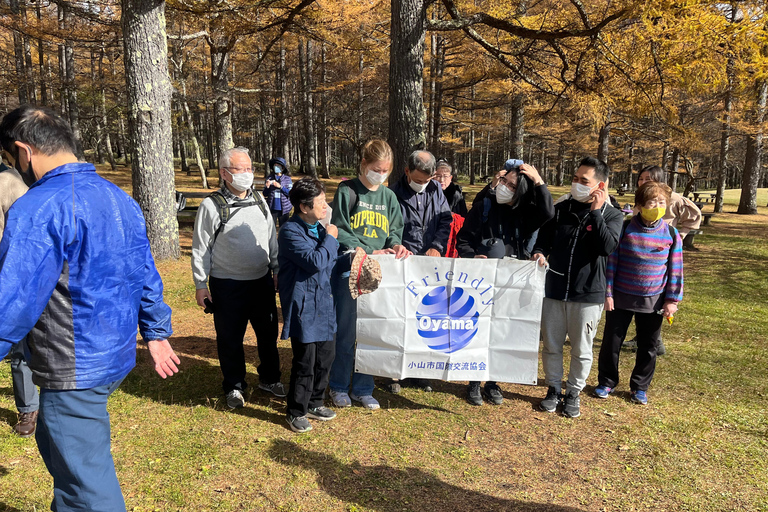 Tokyo: Nikko Private Day Tour with Pickup