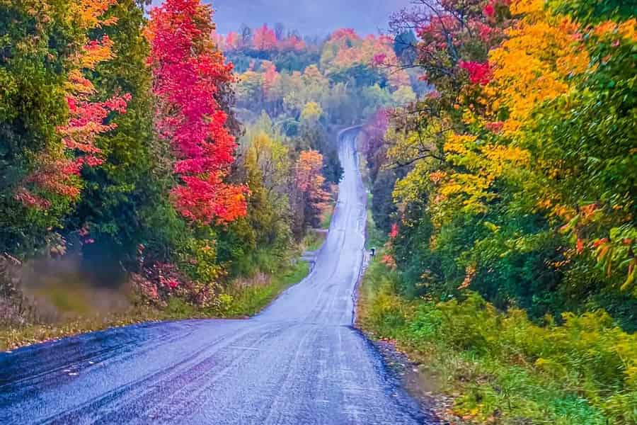 Cabot Trail: Landausflug ab Hafen von Sydney, Cape Breton. Foto: GetYourGuide Cabot Trail: Landausflug ab Hafen von Sydney, Cape Breton. Foto: GetYourGuide