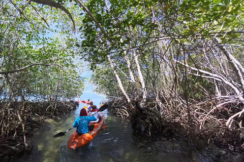 From Lembongan: Explore Mangrove with Kayak/Paddleboard/Boat Discover Mangrove Forest Tour by Paddle Board