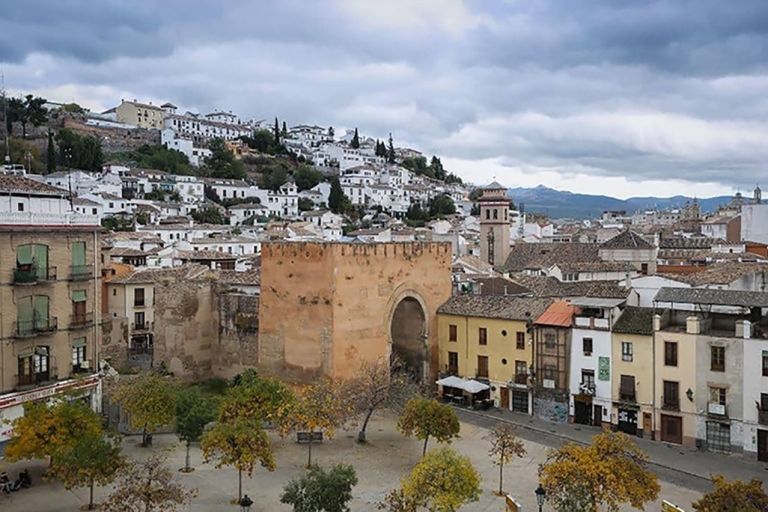 Rondleiding Granada al Compleet: Albaicín en historisch centrum