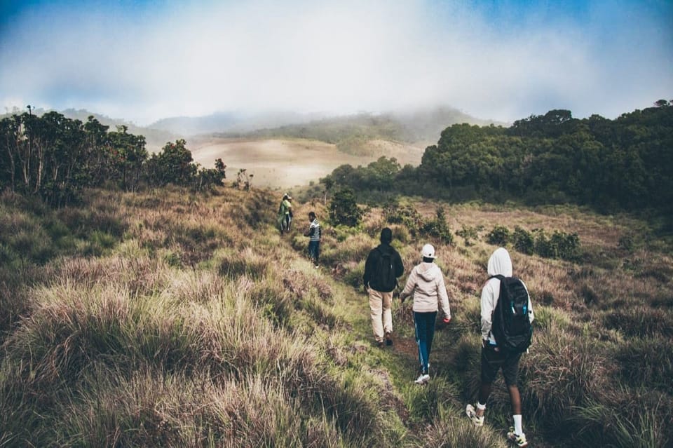 Sri Lanka Hiking Trails: Trekking Through Spectacular Landscapes - Horton Plains Trekking Tips