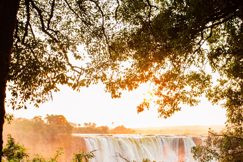 Victoria Falls: Sunrise Yoga Session with Breakfast Private Tour