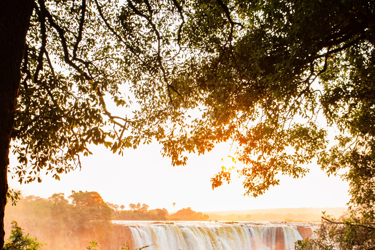 Victoria Falls: Sunrise Yoga Session with Breakfast Private Tour