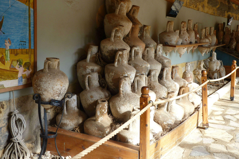 From Bodrum Port: Full-Day Tour with Castle and Mausoleum