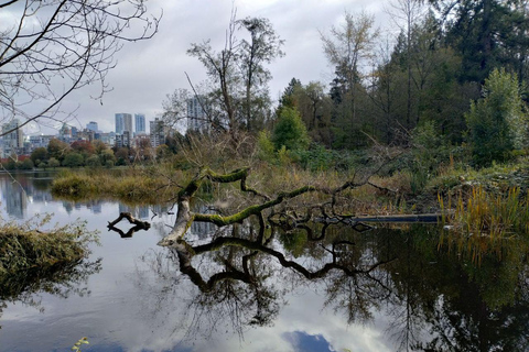 Vancouver City Tour+Stanley Park+Granville Island+China+Gas
