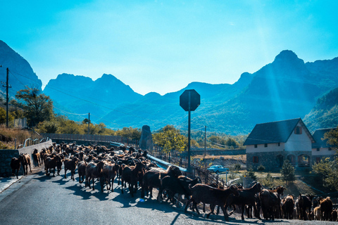 Explore Theth in a Day from Tirana - Albania’s Best Escape