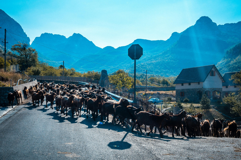 Explore Theth in a Day from Tirana - Albania’s Best Escape