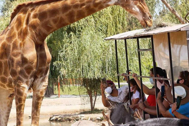 Santiago, Parque Safari