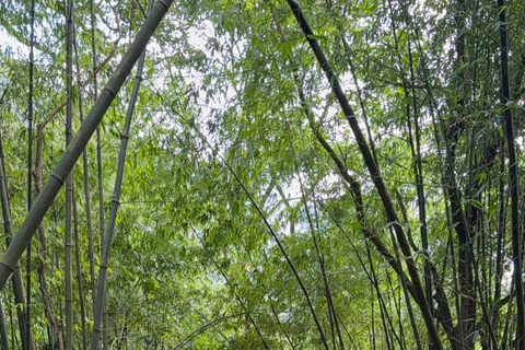 Tam Dao Private Day Tour With Misty Mountains, Cloud Views