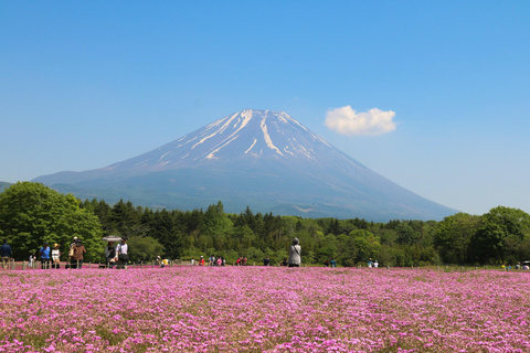 1-Day Mt Fuji Sightseeing trip from Tokyo 1-Day Mt Fuji Sightseeing trip with English Speaking Guide