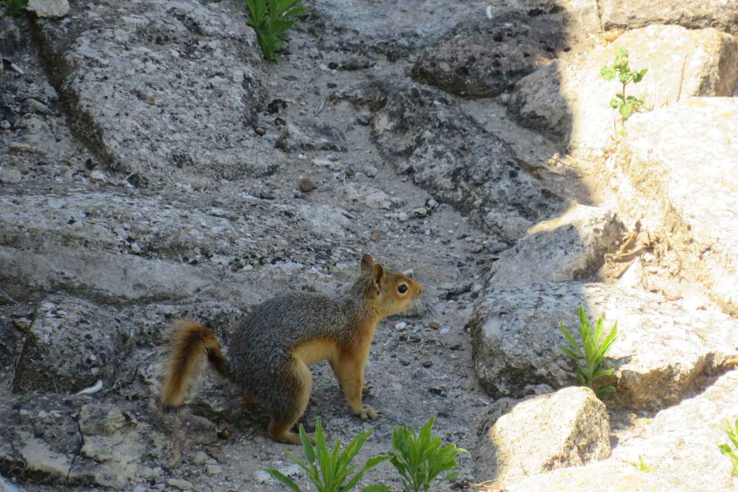 Troy: Full-Day Tour from Istanbul