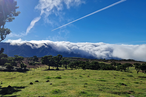 Let-Me-Surprise-You Madeira Full Day Private Tour