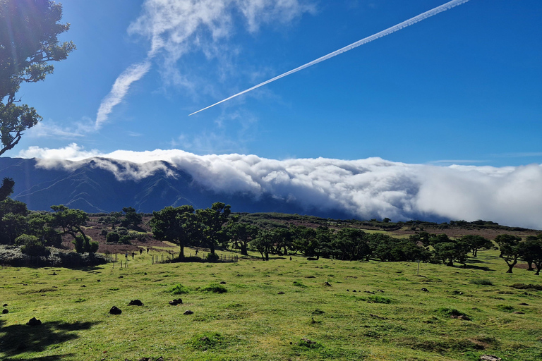 Let-Me-Surprise-You Madeira Full Day Private Tour