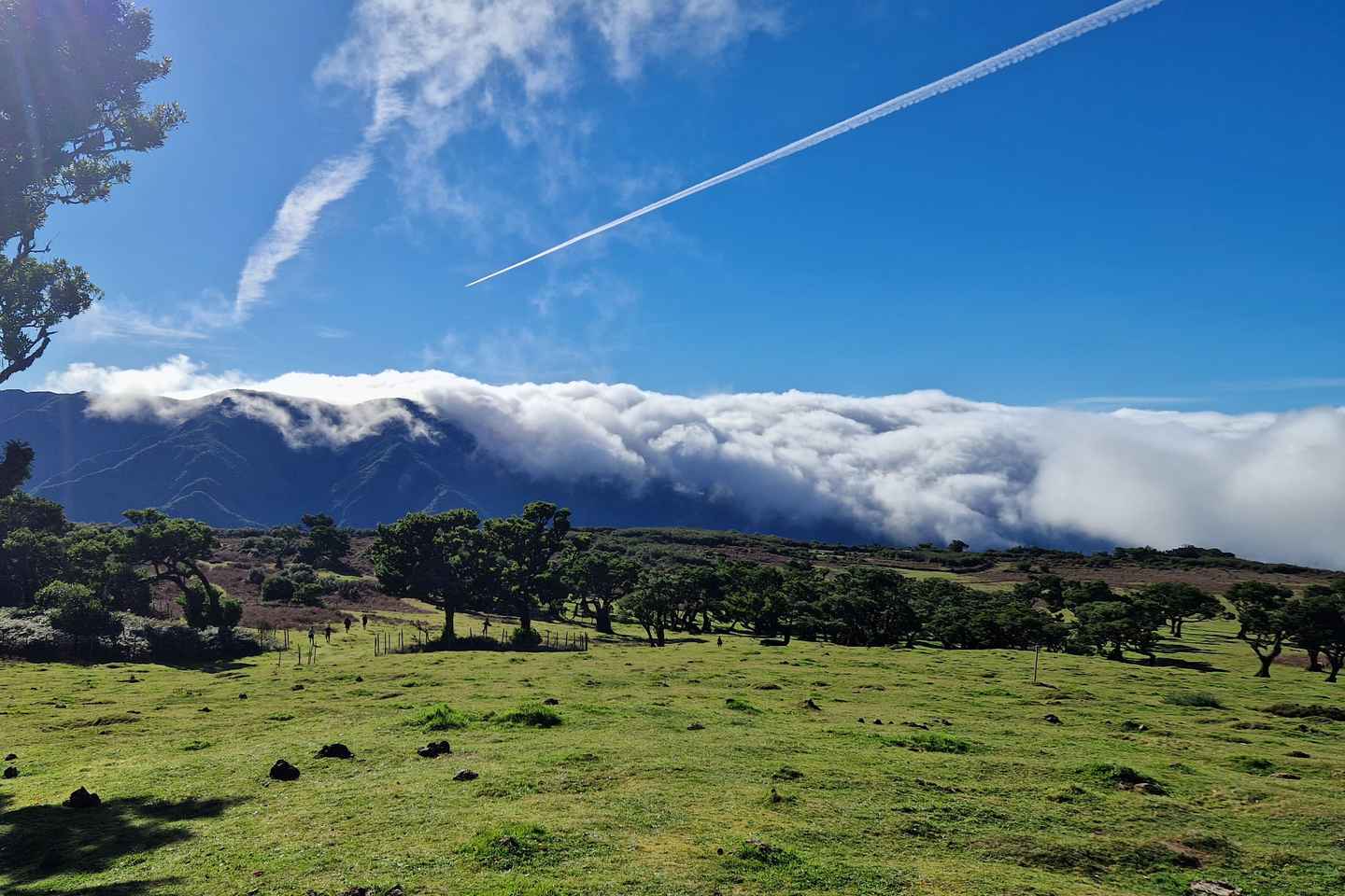 Journée Privée Surprise à Madère