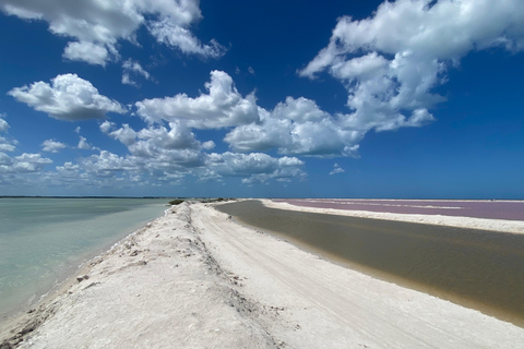 Natuurbelevenis Rio Lagartos en Las Coloradas.