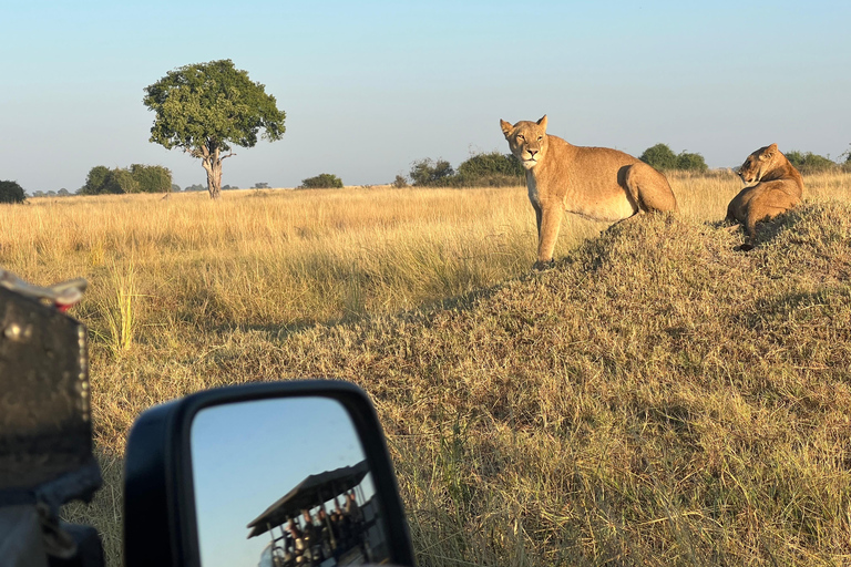 Safari de un día en el Chobe y Safari en barco desde las cataratas Victoria - 8 h