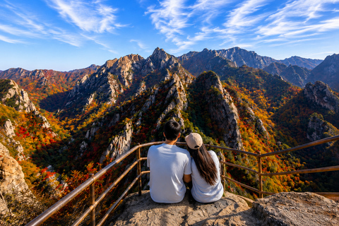 Seoul: Seoraksan & Nami island & Korean Garden Tour [Winter wonder] Seoraksan+Nami island+ Eobi Ice Valley