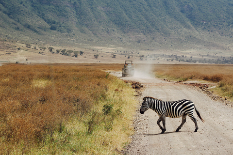 4: Días de safari por el patrimonio natural africano.