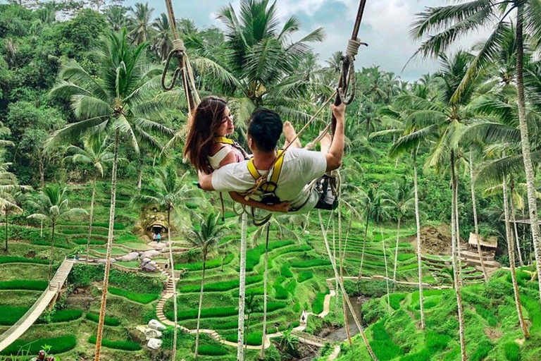 Ubud: Private Day Tour with Waterfall and Rice Terrace